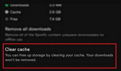 clear spotify cache