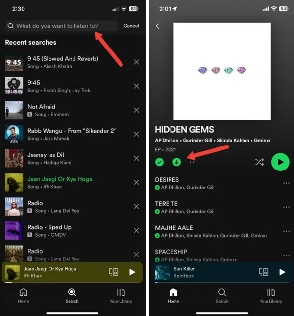 download spotify playlists to mp3