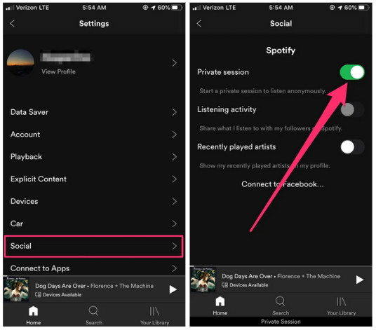 enable spotify private session on mobile